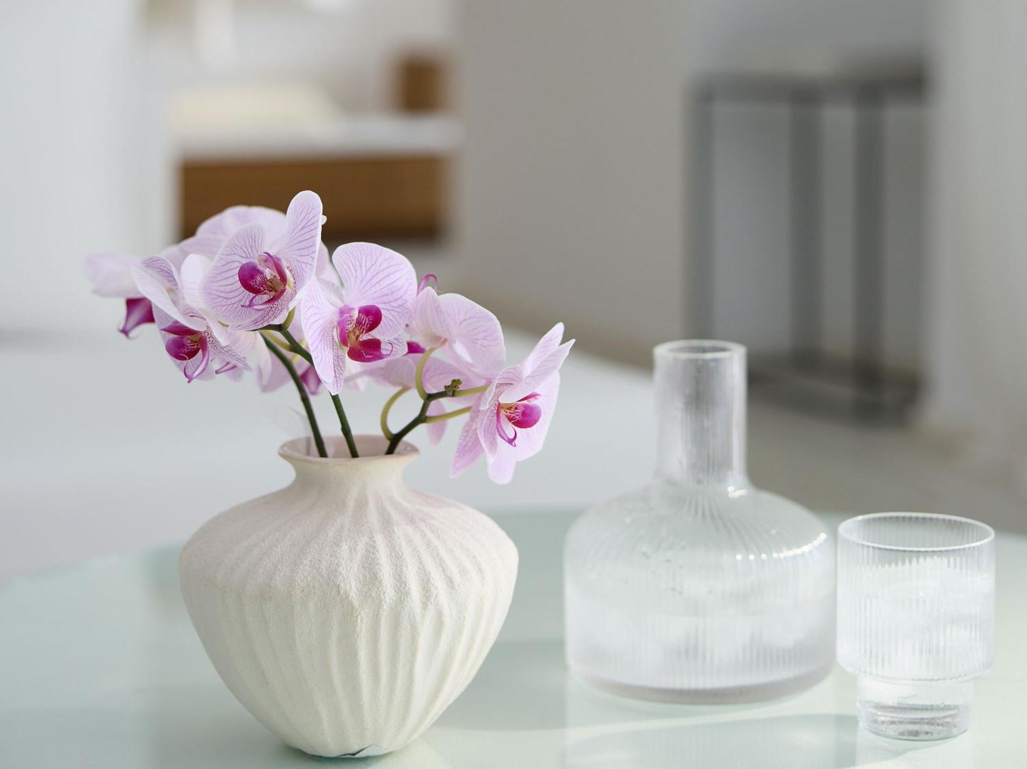 Grecotel Luxme White Rethymno